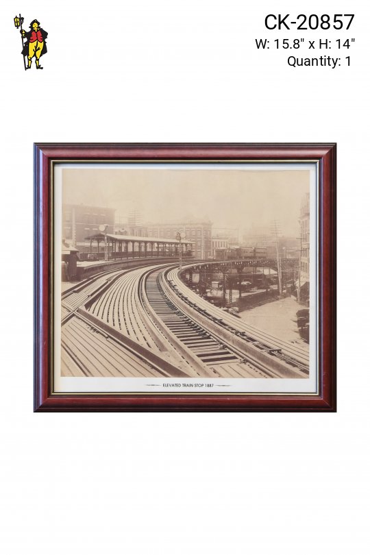 Framed 19th Century Elevated Train Photograph