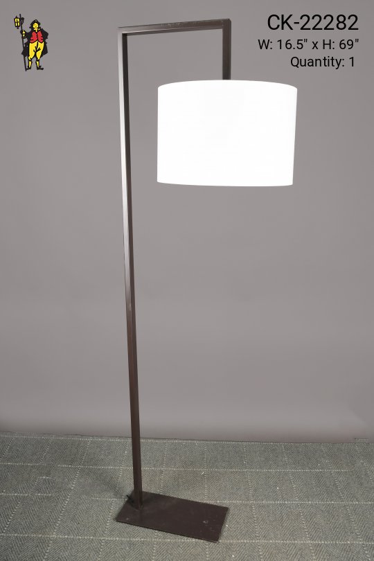 Modern Bronze Reading Floor Lamp