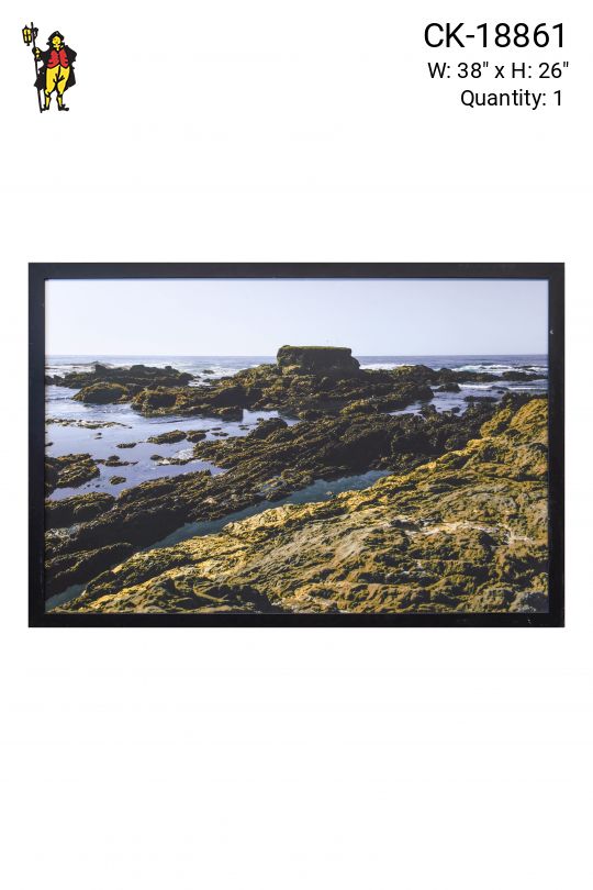 Framed Landscape Photograph