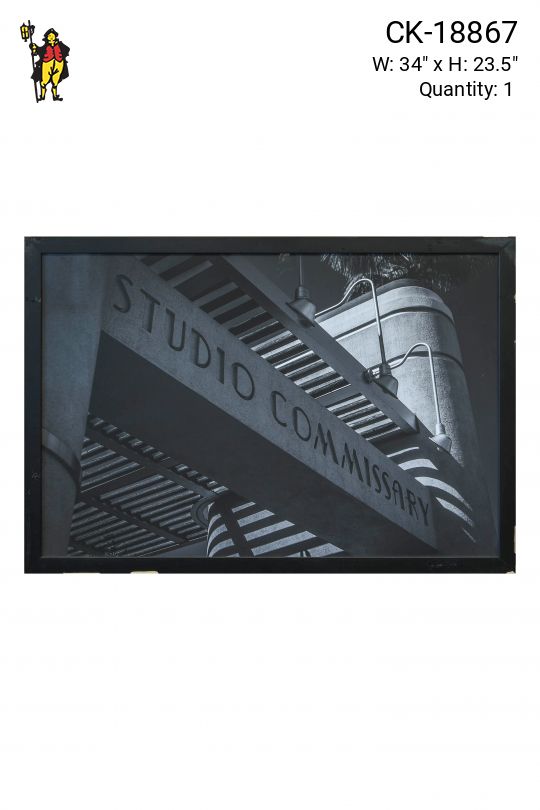 Framed Black & White Studio Photograph