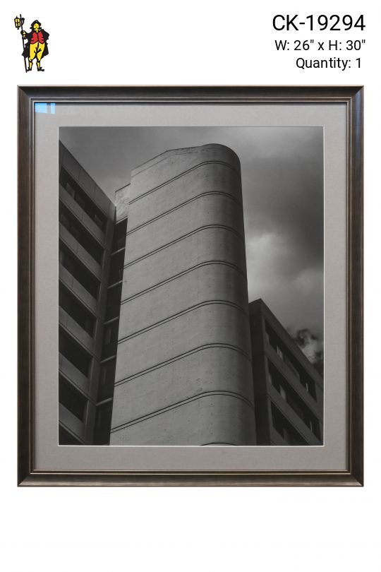 Framed Minimalist Black & White Unique Building Photograph