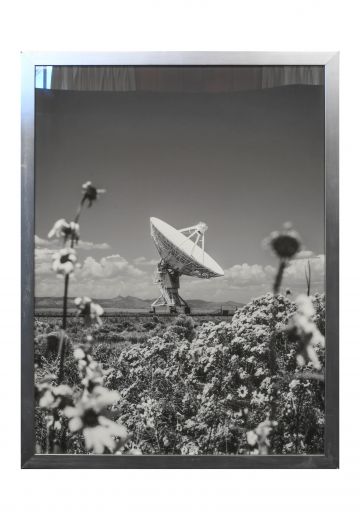 Nickel Framed Black & White Satellite Flowers Photograph