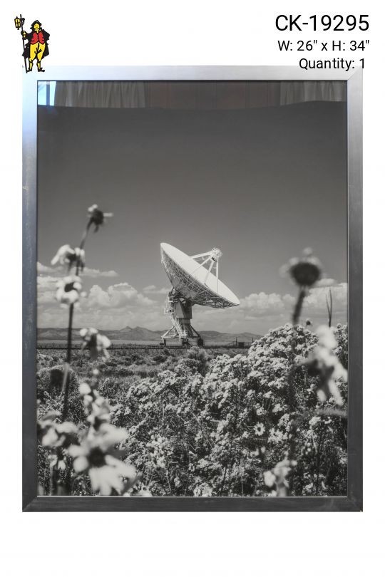 Nickel Framed Black & White Satellite Flowers Photograph