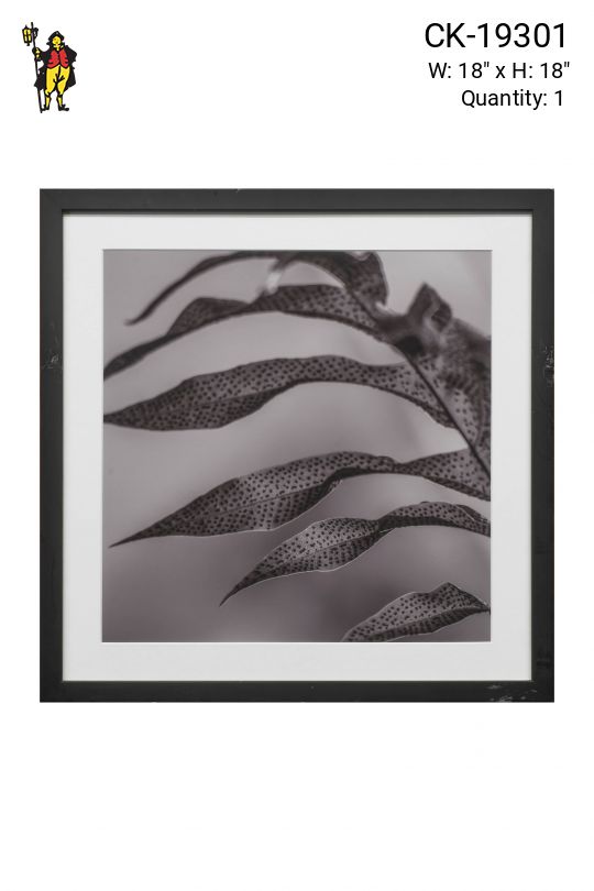 Black Framed Leaf Texture Photograph