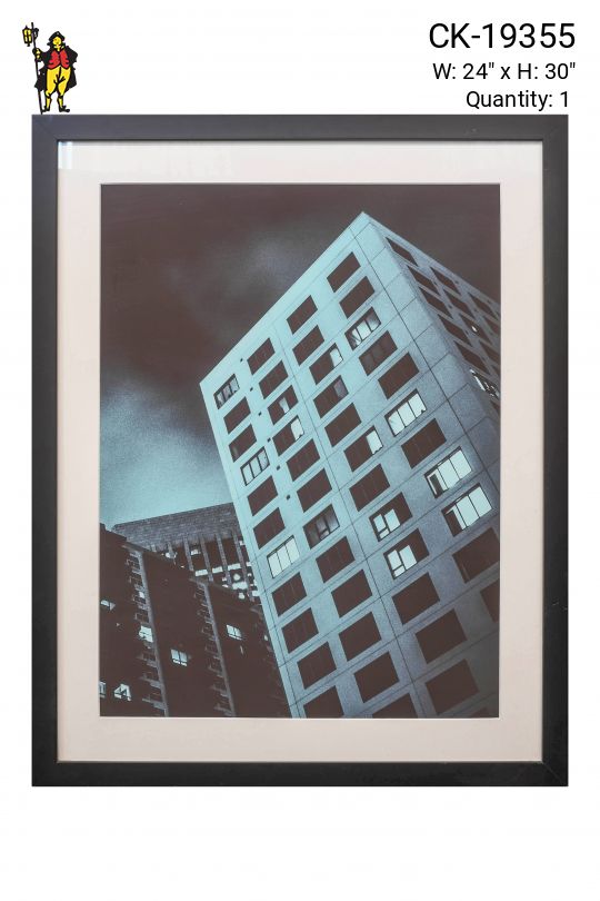 Framed Modern Architectural Photograph