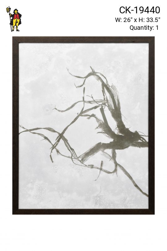 Framed Tintype Style Botanical Photograph - 2