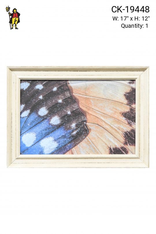 Framed Butterfly Wings Macro Photography - 1