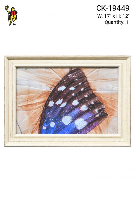 Framed Butterfly Wings Macro Photography - 2