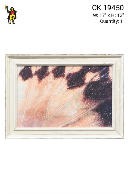 Framed Butterfly Wings Macro Photography - 3