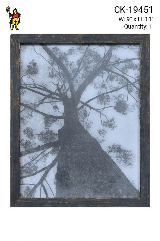 Framed Black & White Minimalist Photograph