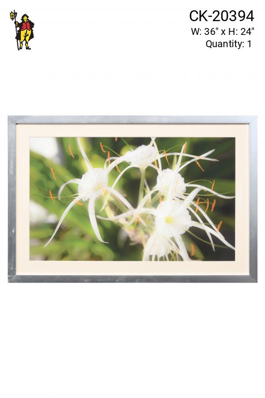 Nickel Framed "Trumet Flower" Photograph