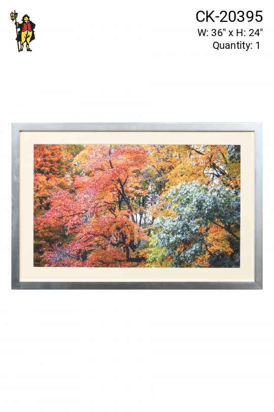 Nickel Framed "Fall Leaves" Photograph