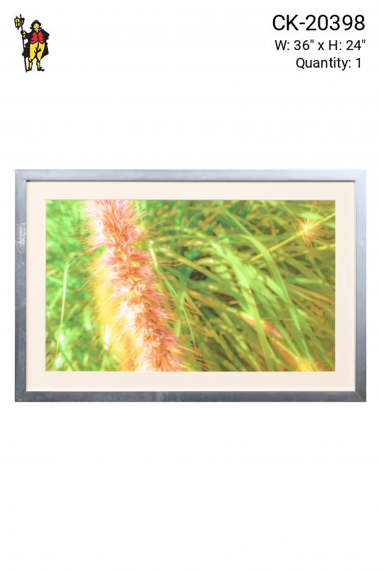 Framed Cleared "Purple Grass" Photograph