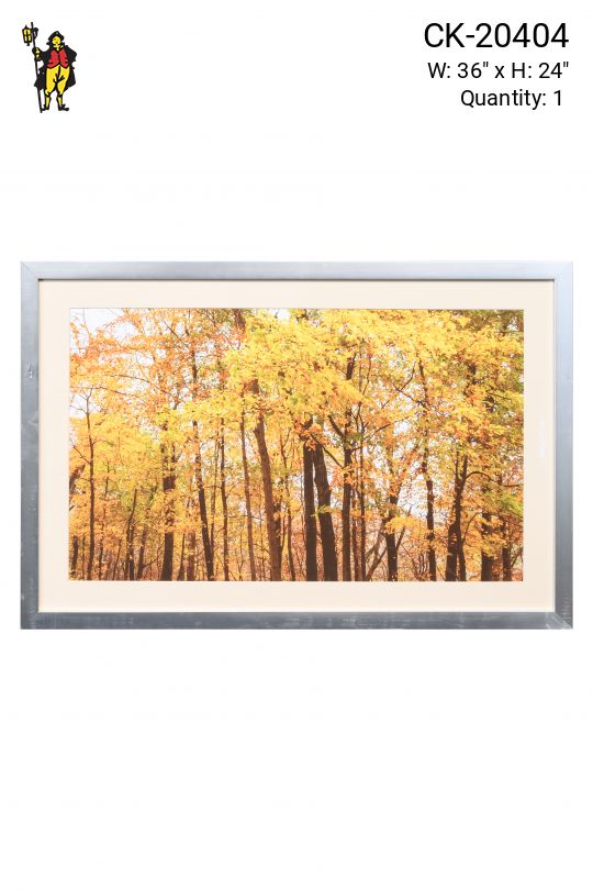 Framed Fall Leaves Print