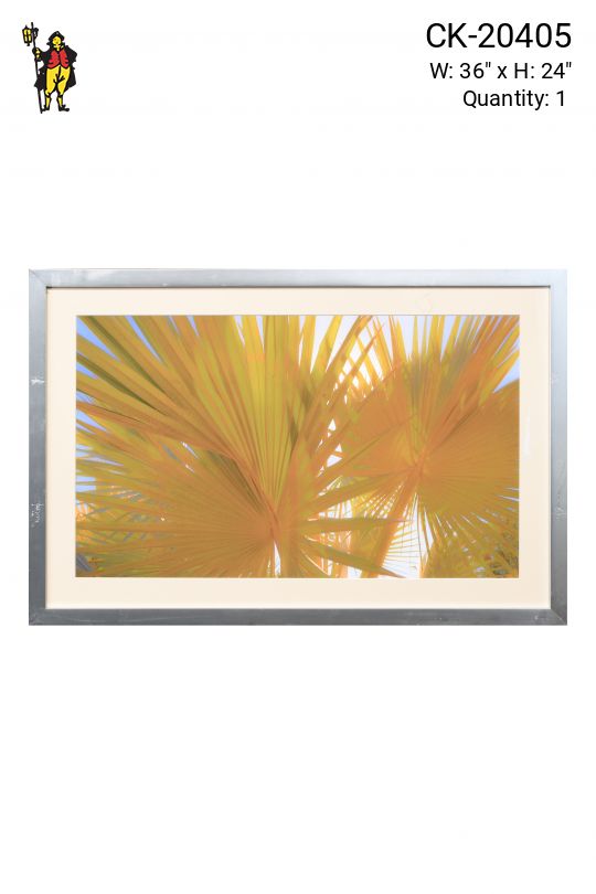 Framed Palms In The Sun Print
