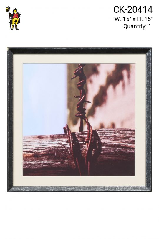 Framed Macro Desert Photograph