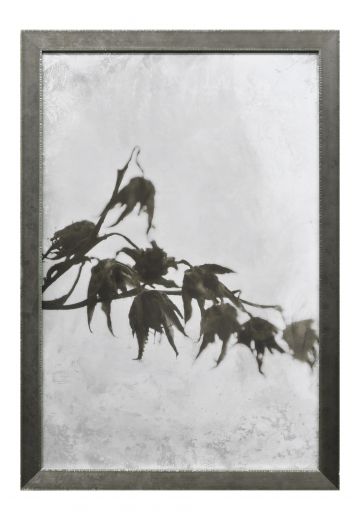 Framed Tintype Style Botanical Photograph - 3
