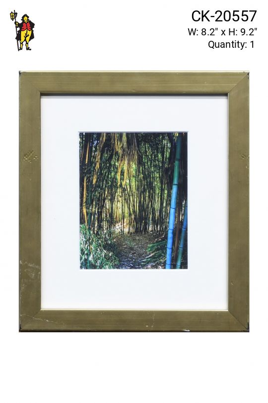 Framed Bamboo Photograph - 1