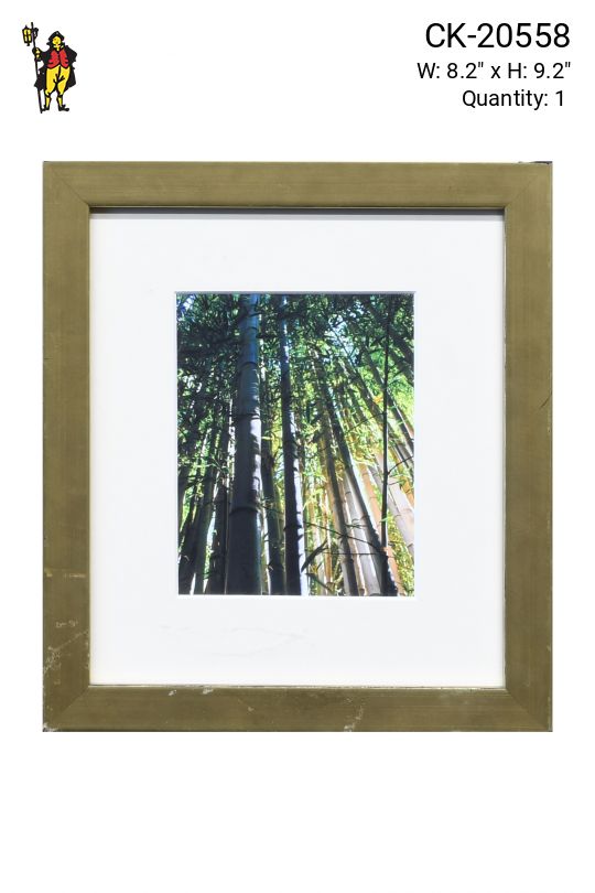 Framed Bamboo Photograph - 2