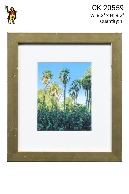 Framed Bamboo Photograph - 3