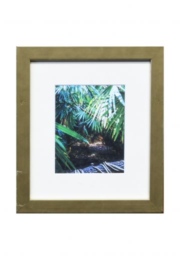 Framed Bamboo Photograph - 4