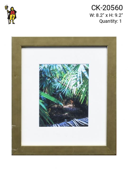 Framed Bamboo Photograph - 4