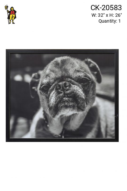 Framed Dog's Portrait Photo