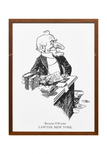 Framed Lawyer Political Cartoon