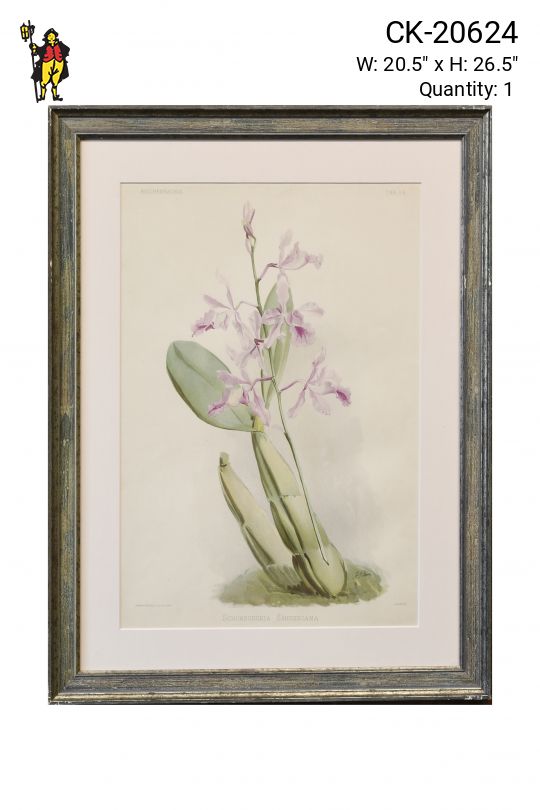 Framed Floral Lithograph - 2
