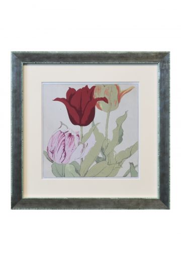 Framed Botanical Watercolor - 1