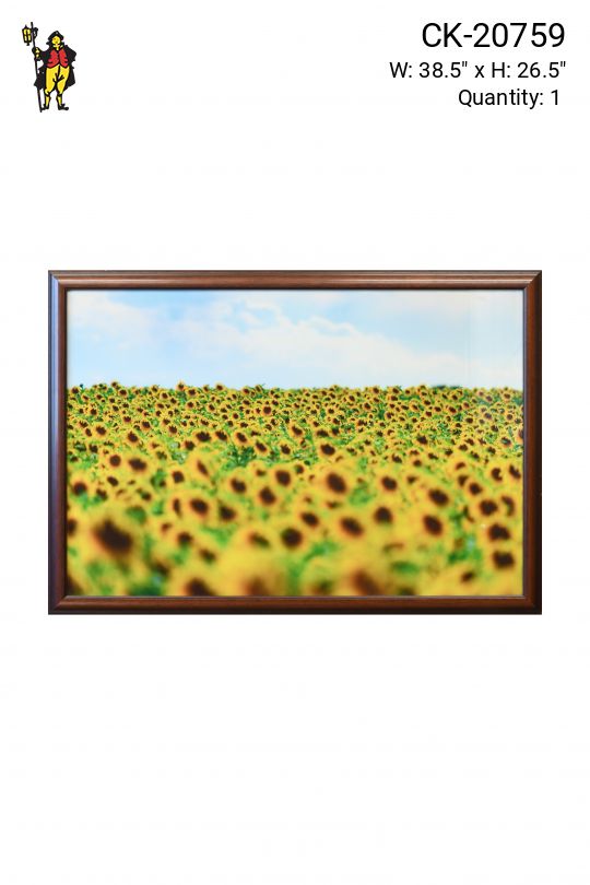 Framed Vast Sunflower Field Photograph