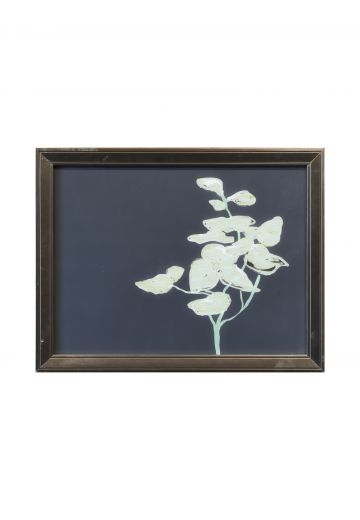 Framed Modernist Black & White Botanical Print - 1