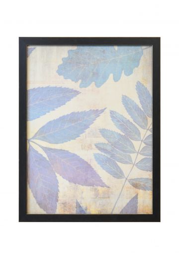 Framed Cleared Pressed Leaves Botanical Print