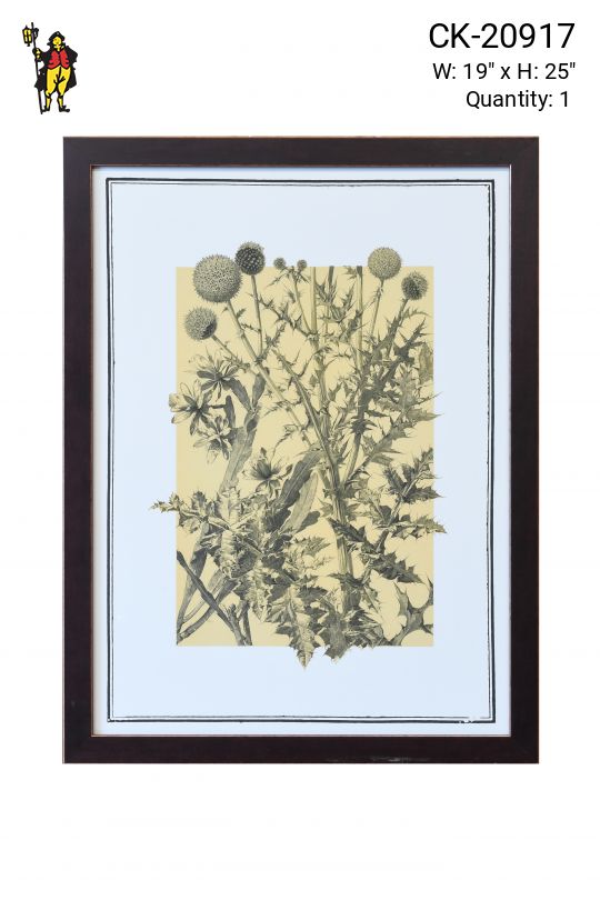 Framed Cleared Botanical Illustration
