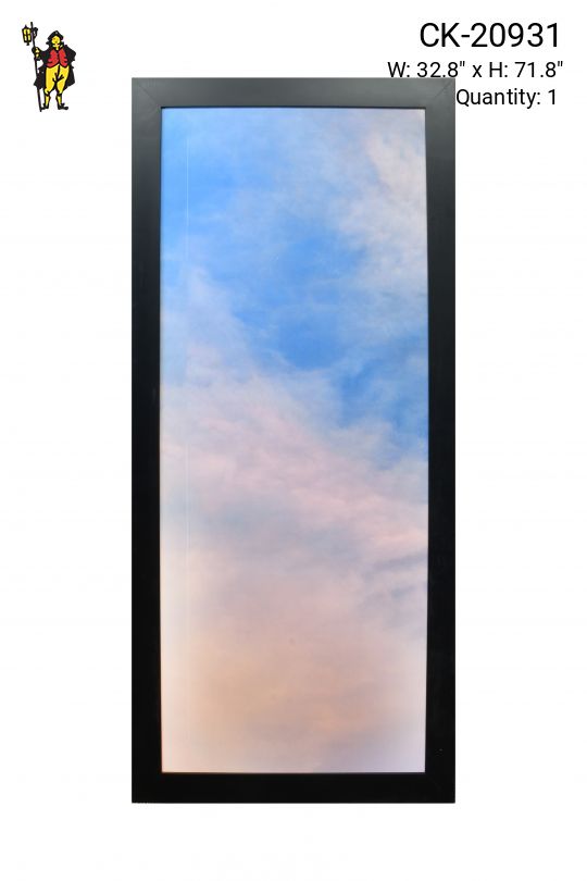 Framed Cleared Minimalist Serene Sky Photograph - 5 (Damaged Canvas)