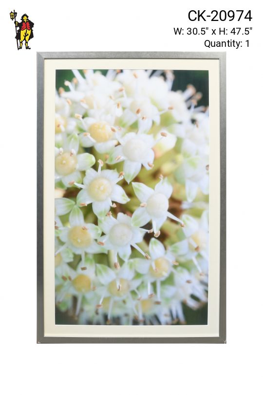 Framed Cleared Macro Floral Photograph