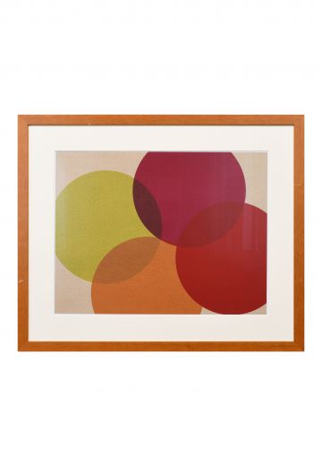 Framed Cleared "Ellipses" Graphic Art Print