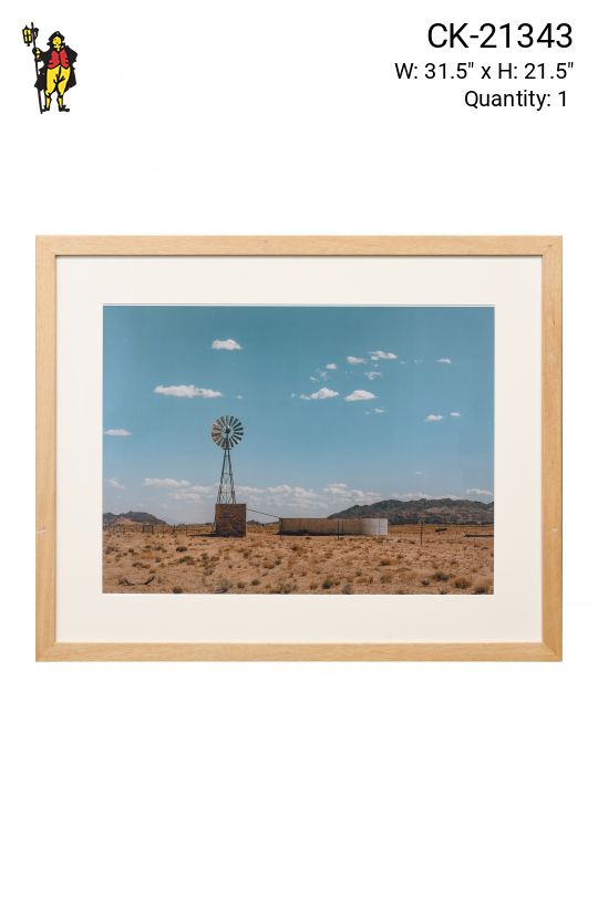 Framed Cleared "Somewhere In The Desert" Photograph