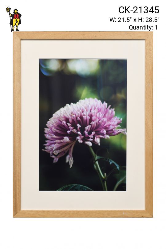 Framed Cleared "Macro Pink Flower" Photograph