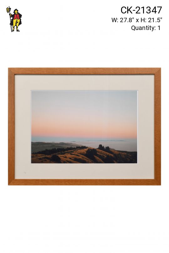 Framed Cleared "SF Sunset Hills" Photograph