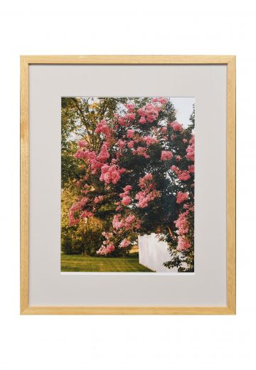 Framed Cleared "Blooming Flowers On The Lake" Photograph
