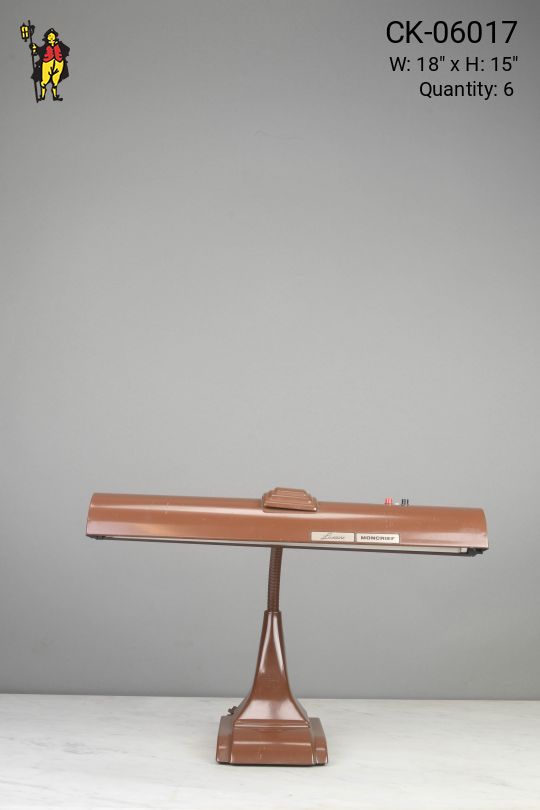 Brown Fluorecent Adjustable Desk Lamp