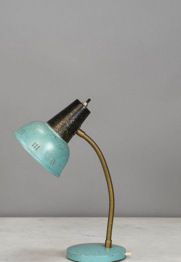 Aqua Gooseneck Desk Lamp