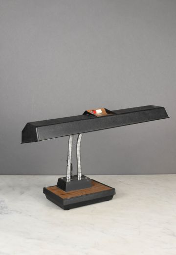 Gooseneck Fluorescent Desk Lamp