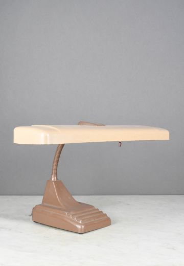 Metal Shaded Gooseneck Desk Lamp