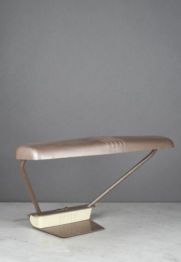Fluorescent Metal Shaded Desk Lamp