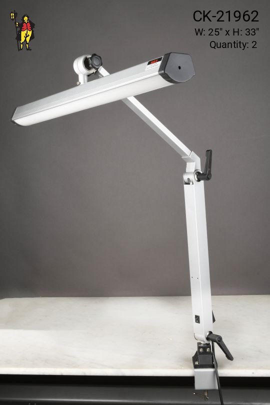 Nickel LED Articulating Clamp Desk Lamp