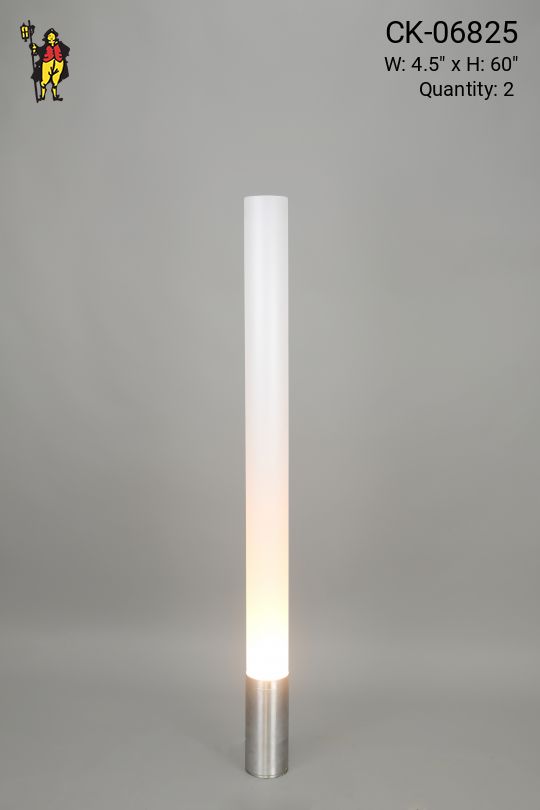 Contemporary 60" Floor Lamp