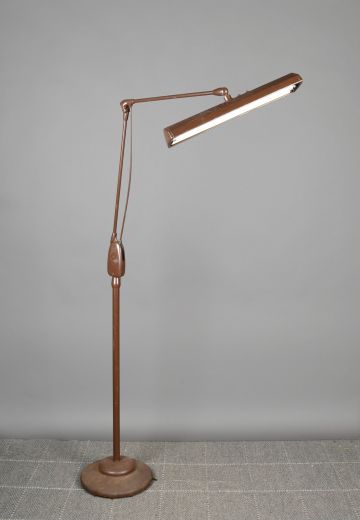 Adjustable Fluorescent Floor Lamp