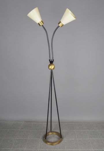 Black Two Light Gooseneck Mid Century Floor Lamp